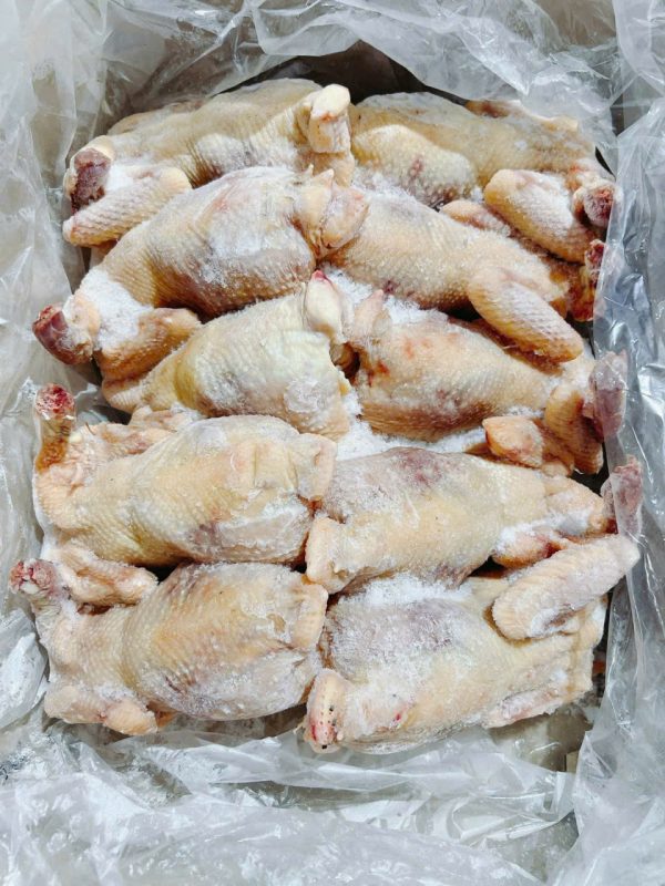Gà dai nguyên con Hàn Quốc
