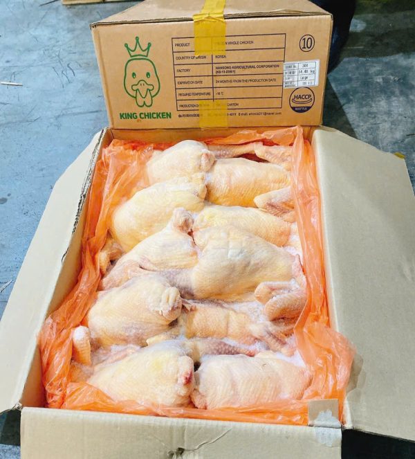 Gà Dai NC 12 con